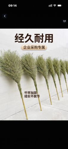 大保洁扫帚